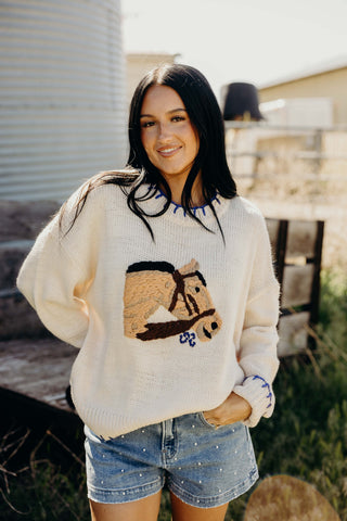 Sweaters & Sweatshirts