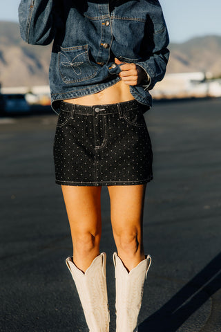 Silver Dollar Skirt