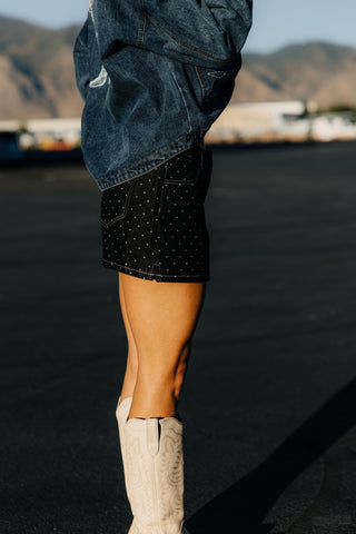 Silver Dollar Skirt