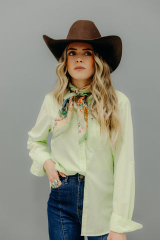 Ariat Lime Stripe Shirt